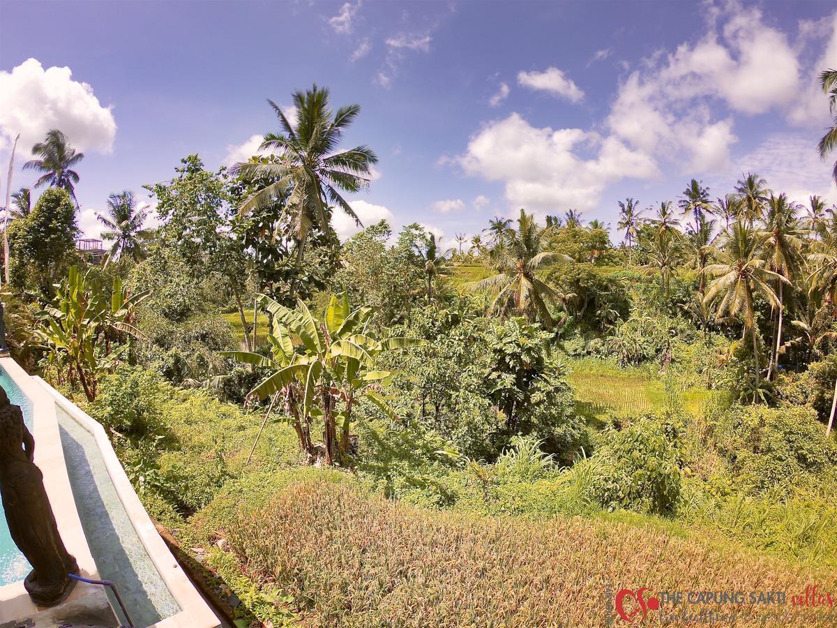 Capung Sakti Villas Убуд Екстериор снимка